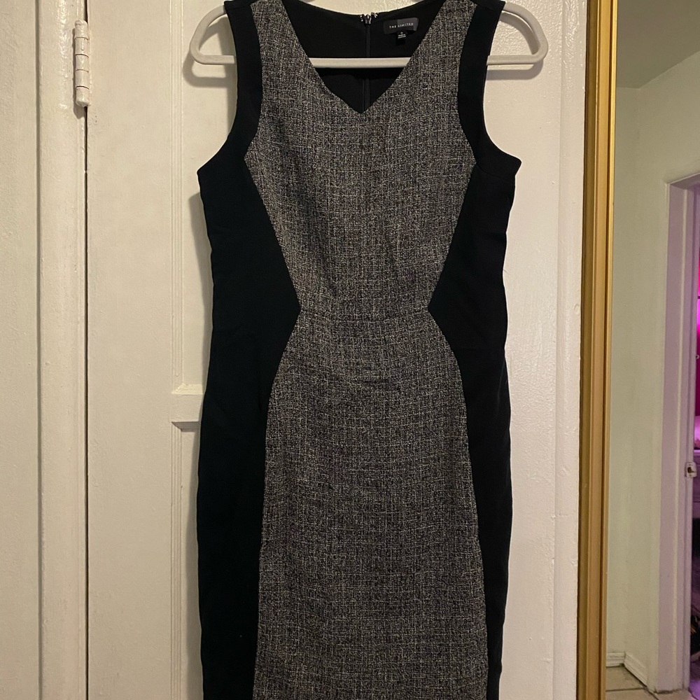 The Limited Dress size 6